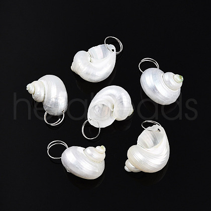 Natural Spiral Shell Pendants X-SHEL-N036-11-1