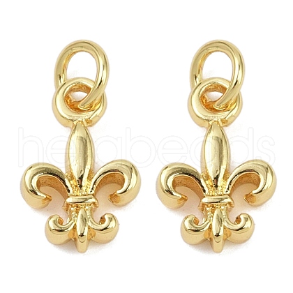 Brass Pendants KK-L231-09G-1