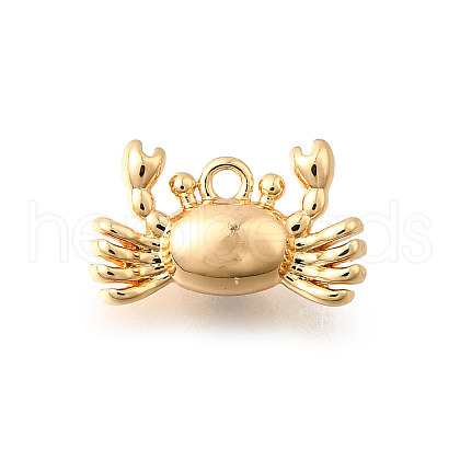 Ocean Theme Brass Charms KK-C096-13B-G-1