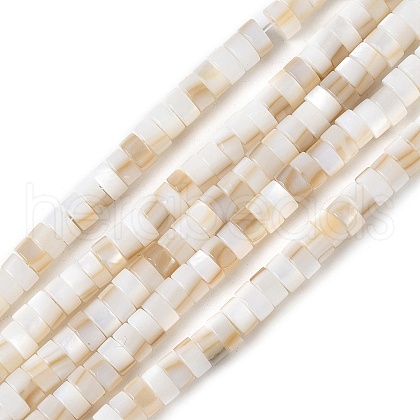 Natural Freshwater Shell Beads Strands SSHEL-C013-04A-1