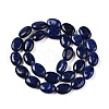 Synthetic Gemstone Imitation Lapis Lazuli Beads Strands G-M206-56-2