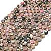 Natural Rhodonite Beads Strands G-C116-A83-02-2
