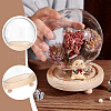   1Pc Glass Dome Cover DJEW-PH0001-40-4