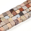 Natural Aqua Terra Jasper Beads Strands G-T140-43A-4