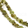 Natural Peridot Beads Strands G-P332-48-02-3