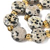 Natural Dalmatian Jasper Beads Strands G-G271-C01-10mm-4