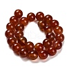 Dyed Natural Carnelian Beads Strands G-G203-10N-14mm-3
