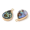 Natural Paua Shell Pendants SHEL-P017-14G-2