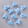 Transparent Acrylic Beads BSF796-C27-4