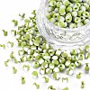 6/0 Glass Seed Beads SEED-S007-8-1