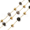 304 Stainless Steel Handmade Beaded Chains CHS-P017-A03-G-1