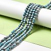 Natural Gemstone Beads Strands G-F730-02A-2