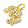 925 Sterling Silver Charms STER-M120-03F-G-2