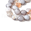 Natural Grey Botswana Agate Beads Strands G-C179-A50-03-4