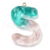 Resin Pendant FIND-Q107-01S-02-1