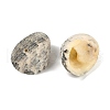Natural Shell Pendants SHEL-K009-17A-2