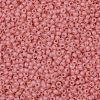 TOHO Round Seed Beads SEED-XTR11-0911F-2