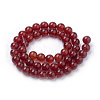 Natural Carnelian Beads Strands X-G-S259-32-10mm-2