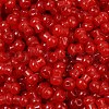 Transparent Colours Glass Seed Beads SEED-R001-01I-2