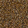 MIYUKI Delica Beads SEED-X0054-DB1738-3