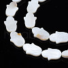 Natural Freshwater Shell Beads Strands SHEL-S278-02-A01-3