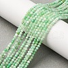 Natural Chrysoprase Beads Strands G-C196-A02-2mm-1