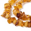 Natural Amber Chip Beads Strands G-E271-81-3