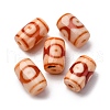 Tibetan Style dZi Beads TDZI-NH0001-E05-05D-1