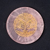 Natural Rose Quartz Display Decorations PW-WG3D249-07-1