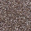 MIYUKI Delica Beads X-SEED-J020-DB2395-3