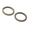 Iron Split Key Rings FIND-B046-06A-AB-2