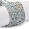Natural Amazonite Beads Strands G-E351-10A-01-1