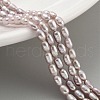 Natural Cultured Freshwater Pearl Beads Strands PEAR-P062-02B-1