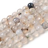 Dyed & Heated Natural Agate Beads Strands G-P539-D01-04-1
