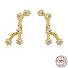 Cubic Zirconia Constellation Stud Earrings EJEW-P231-90G-07-2