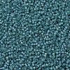 MIYUKI Delica Beads X-SEED-J020-DB1283-3