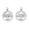 304 Stainless Steel Pendants STAS-T046-JA350-1A-P-2