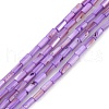 Natural Freshwater Shell Dyed Beads Strands SHEL-M018-11-08-1