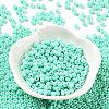 Baking Paint Glass Seed Beads SEED-H002-I-B506-2