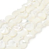 Natural White Shell Beads Strands SSHEL-10X12-1
