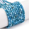 Natural Apatite Beads Strands G-F770-A04-02-2