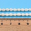 Natural Cultured Freshwater Pearl Beads Strands PEAR-N012-03S-01-6