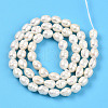 Natural Cultured Freshwater Pearl Beads Strands PEAR-N012-05Y-3