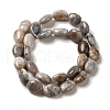 Natural Crazy Agate Beads Strands G-G102-B01-01-3