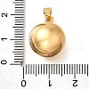 304 Stainless Steel Pendants STAS-H200-07B-G-3