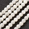Natural White Shell Beads Strands X-G-G680-54-1