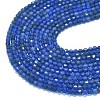 Natural Blue Agate(Dyed & Heated) Beads Strands G-A260-A12-01-3