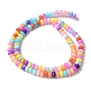 Natural Freshwater Shell Beads Strands SSHEL-C013-08B-2