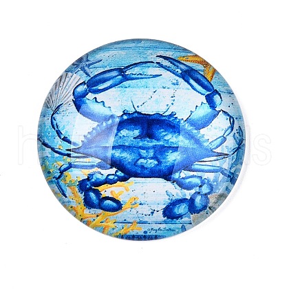 Glass Cabochons GGLA-T004-11A-1