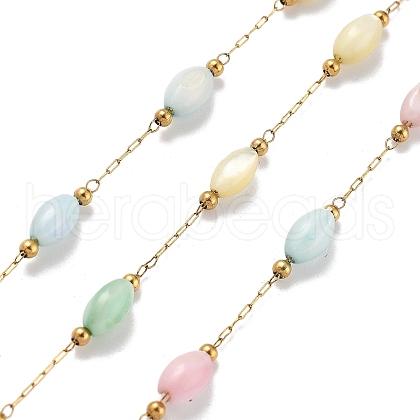 Shell & 304 Stainless Steel Oval Beads Link Chains CHS-K021-09G-05-1